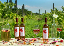  Wine Tour in Armenia 