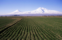  Biblical Mount Ararat